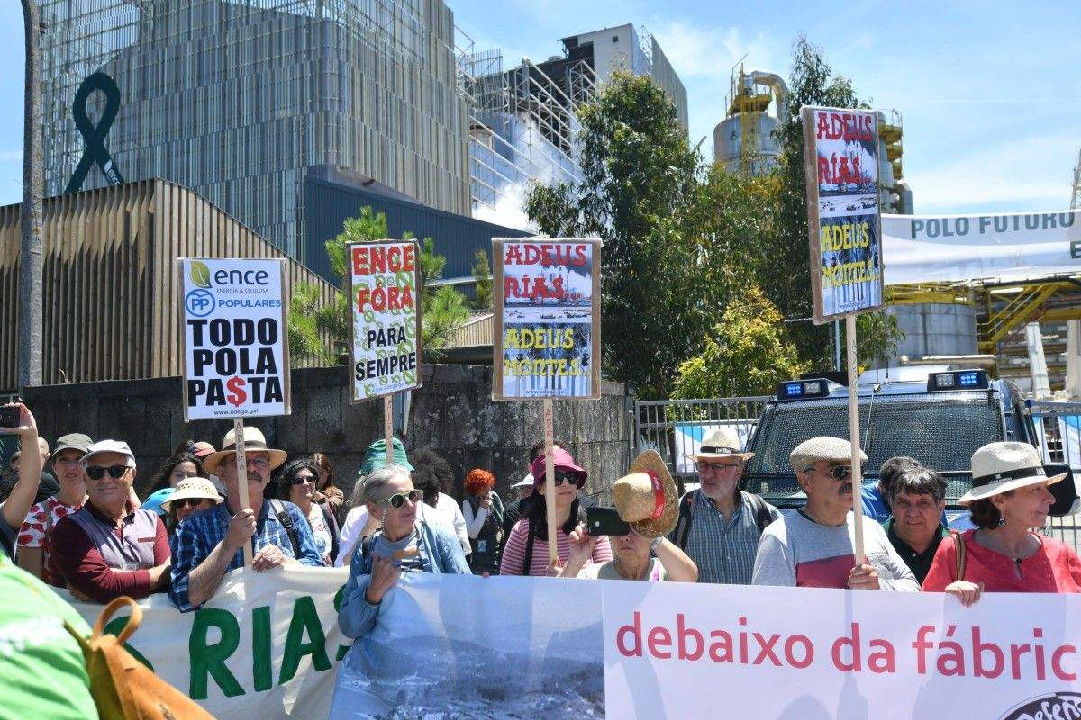 Marcha contra Ence 2019