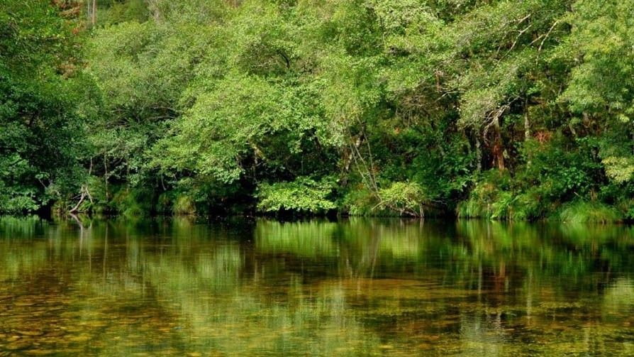 Río Verdugo