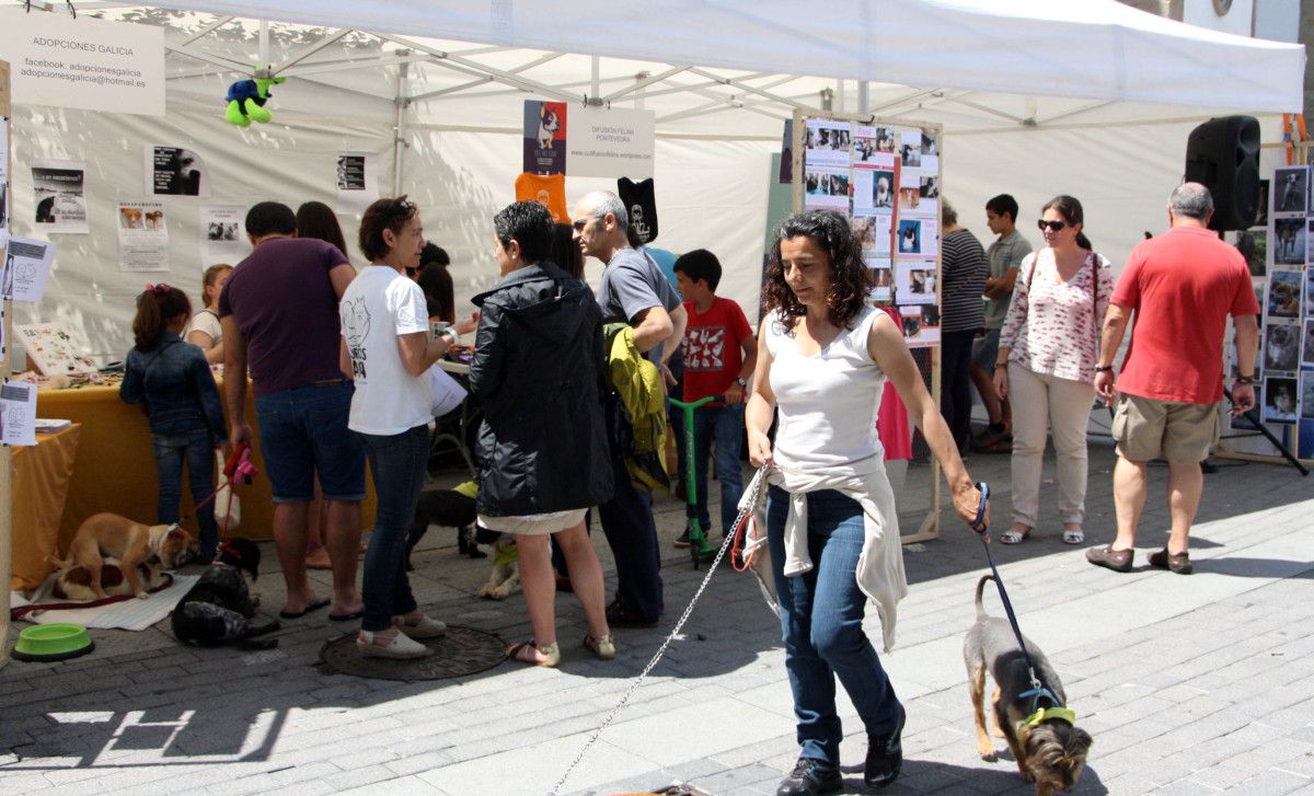 Jornada informativa de Difusión Felina, Os Palleiros y Adopcións Galicia