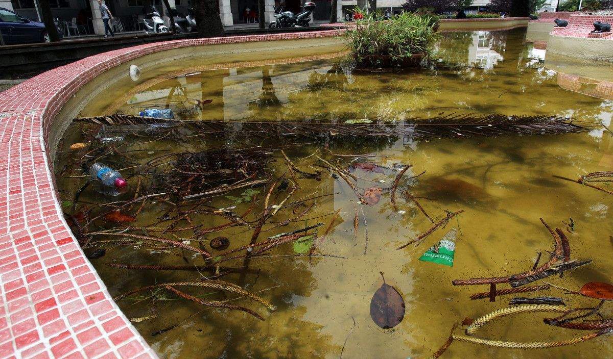 Mal estado de los jardines del Paseo de las Palmeras en Pontevedra