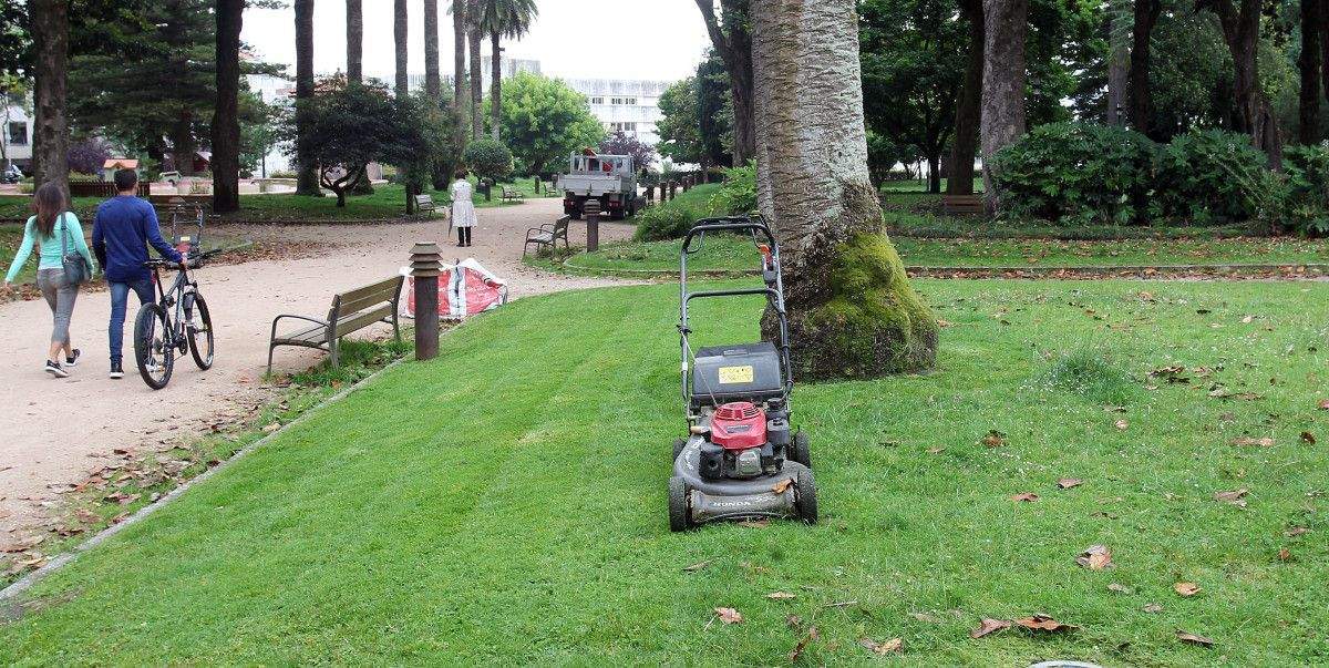 Los cortacéspedes aterrizan en el Paseo de las Palmeras para segar la hierba que estaba muy alta