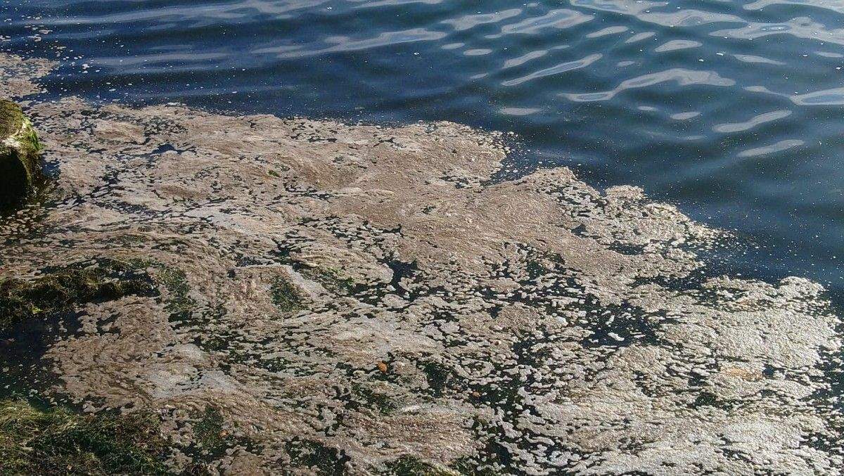Vertido en Corvaceiras, en la ría de Pontevedra