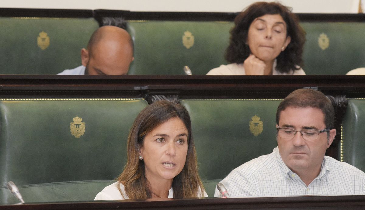 Pepa Pardo, do PP, nun pleno da Deputación de Pontevedra