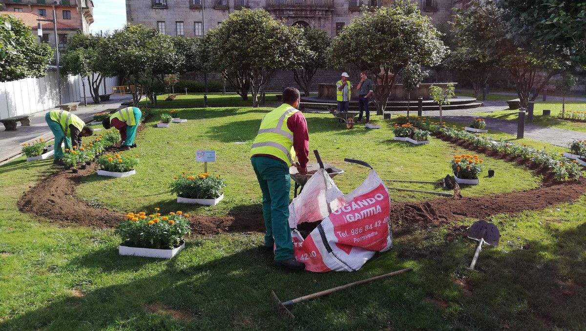 Trabajos de mejora de los jardines de Casto Sampedro
