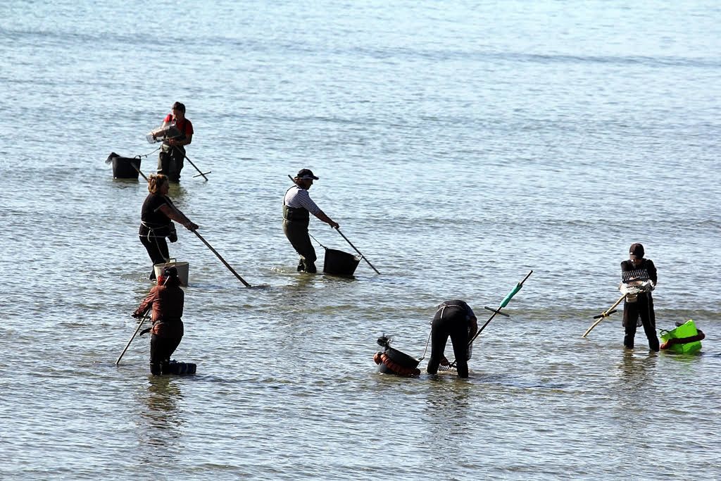 Marisqueo a pie