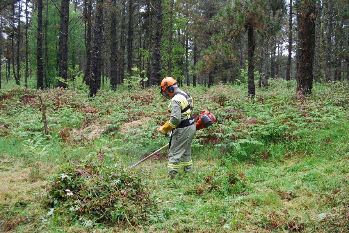Tarefas de rozadura para previr os lumes forestais