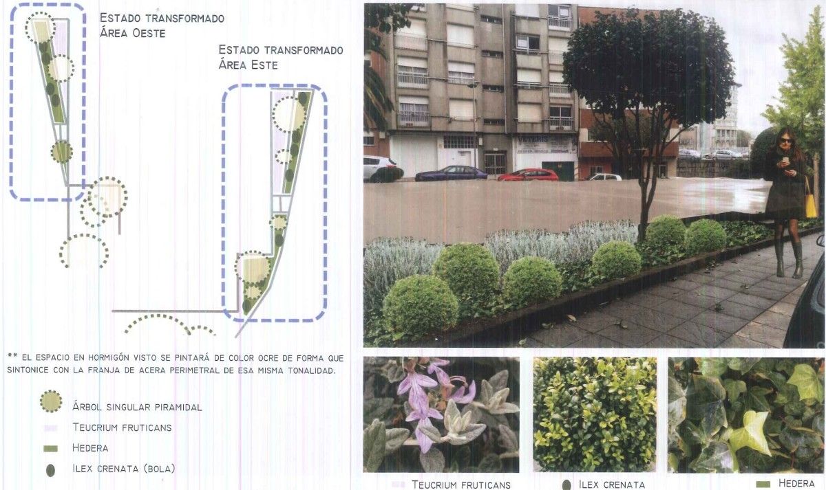 Propuesta para la renovación paisajística de la plaza de Santa Teresa de Jesús Jornet