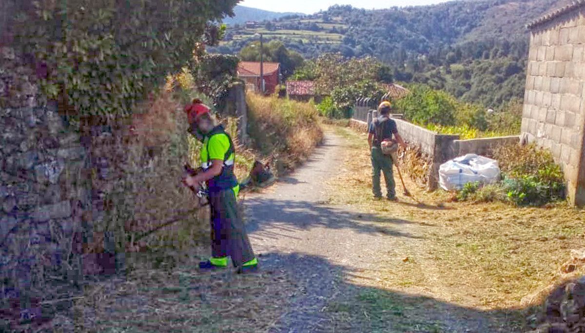 Desbroce de camiños en Folgoso