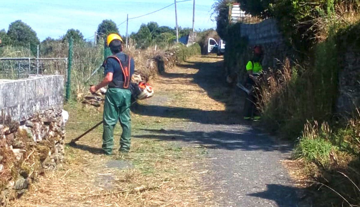 Desbroce de caminos en Folgoso