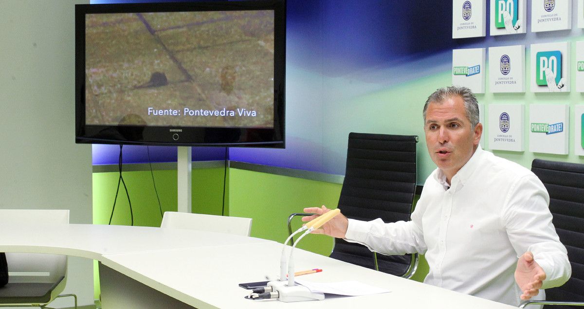 O portavoz do PP, Rafa Domínguez, denuncia presenza de ratas en Pontevedra