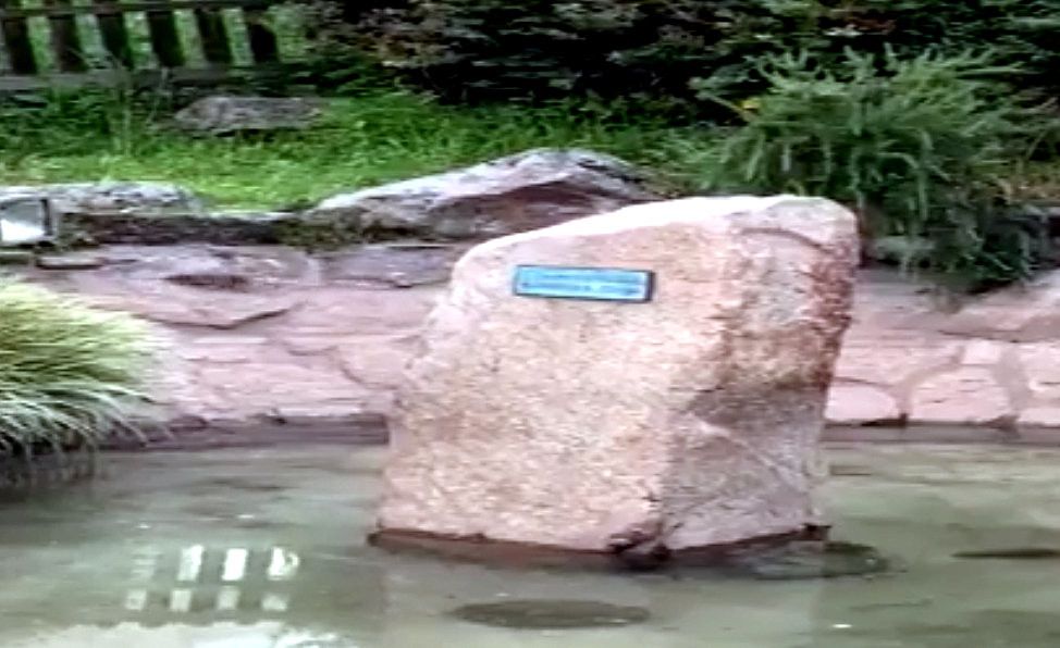 Rata en el Parque de Pasarón