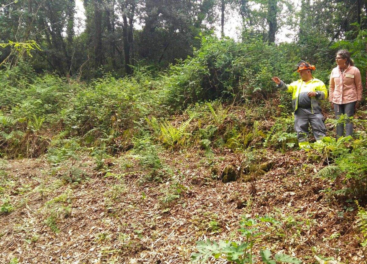 Visita á limpeza de franxas das aldeas