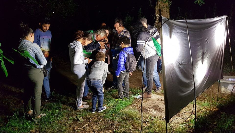 Roteiro nocturno por el Gafos