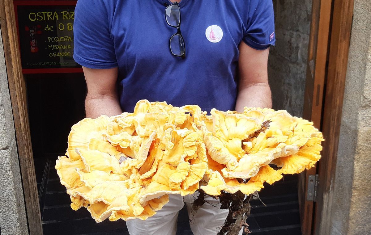 Juan Castiñeira mostra o cogomelo de dez quilos