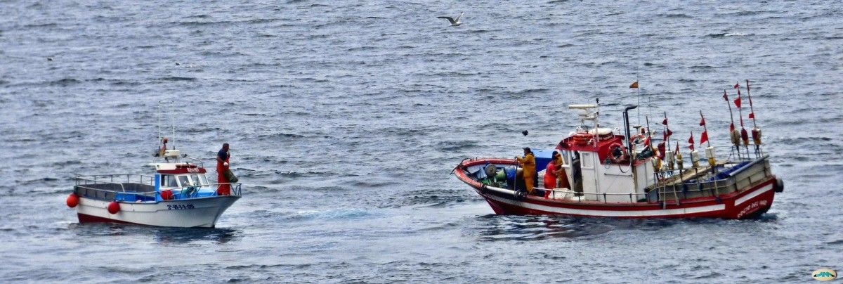Dous barcos de pesca de baixura faenando