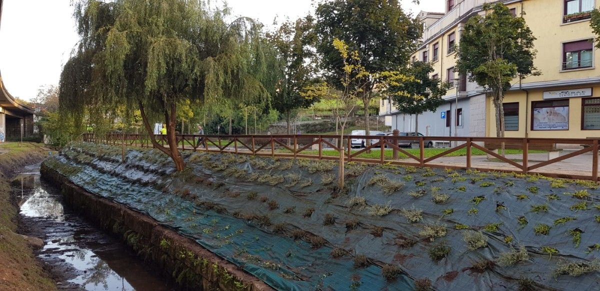 Regato de A Fontesanta en Mollabao tras la intervención de Parques y Jardines