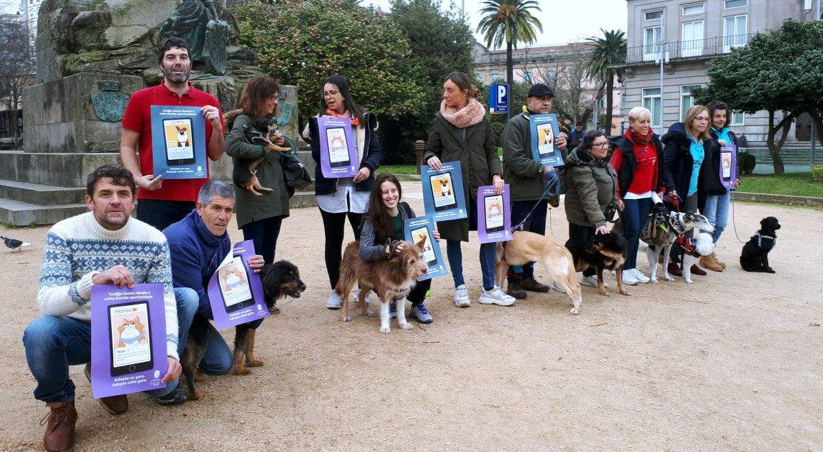 Presentación das campañas de adopción de cans e gatos