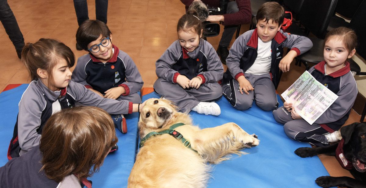 Profesores perros en las Doroteas