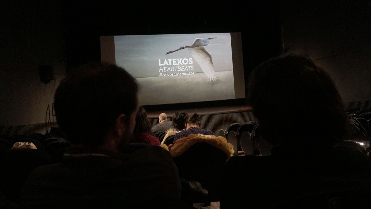 Festival Novos Cinemas