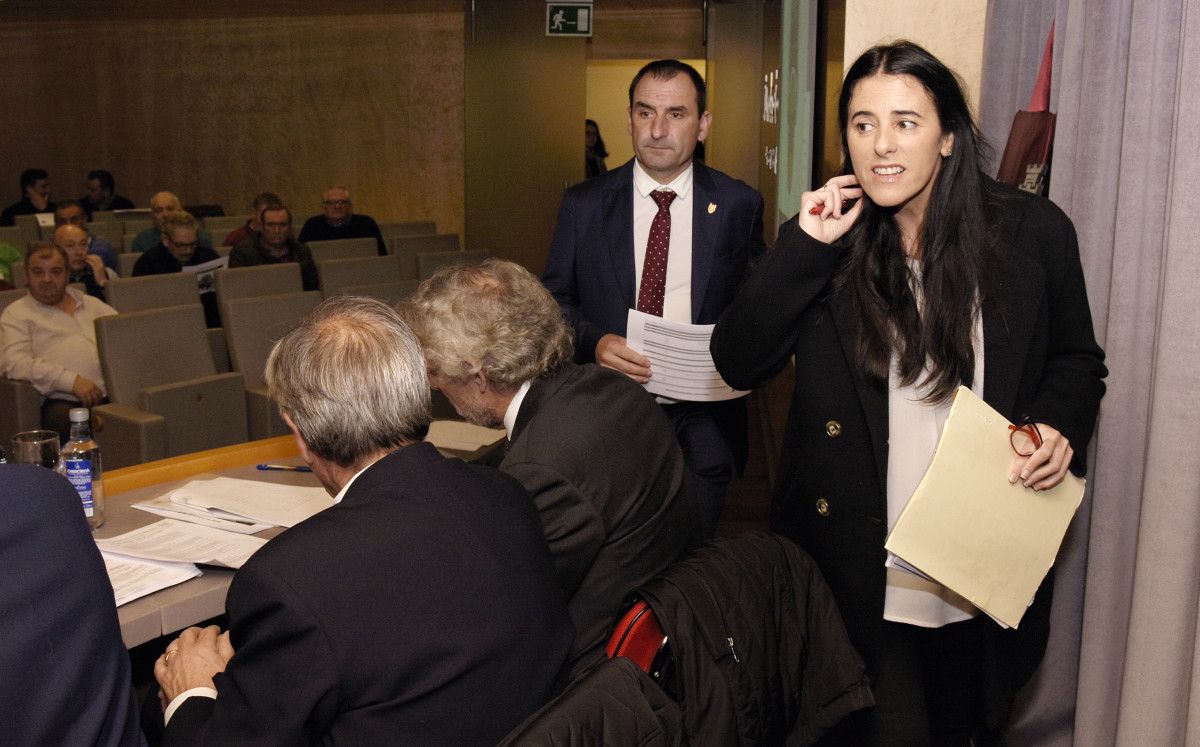 Lupe Murillo, en la Junta General de Accionistas del Pontevedra celebrada el 30 de diciembre de 2019