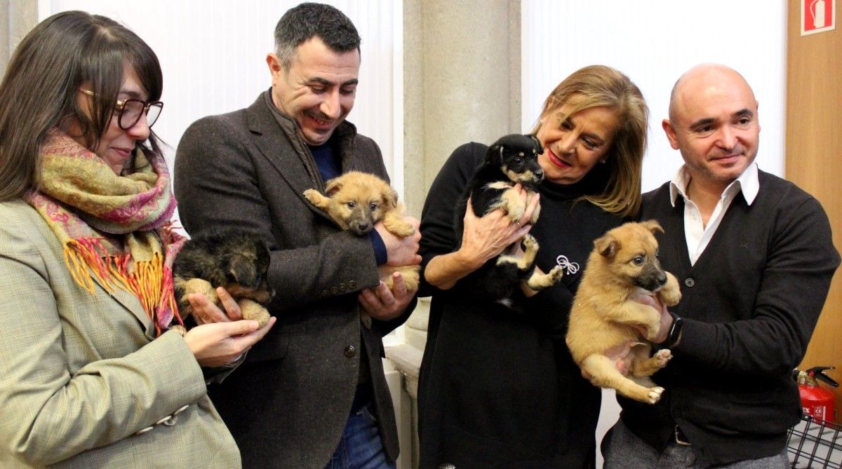 Perros abandonados en un contenedor en Vilanova, recuperados tras su paso por el CAAN