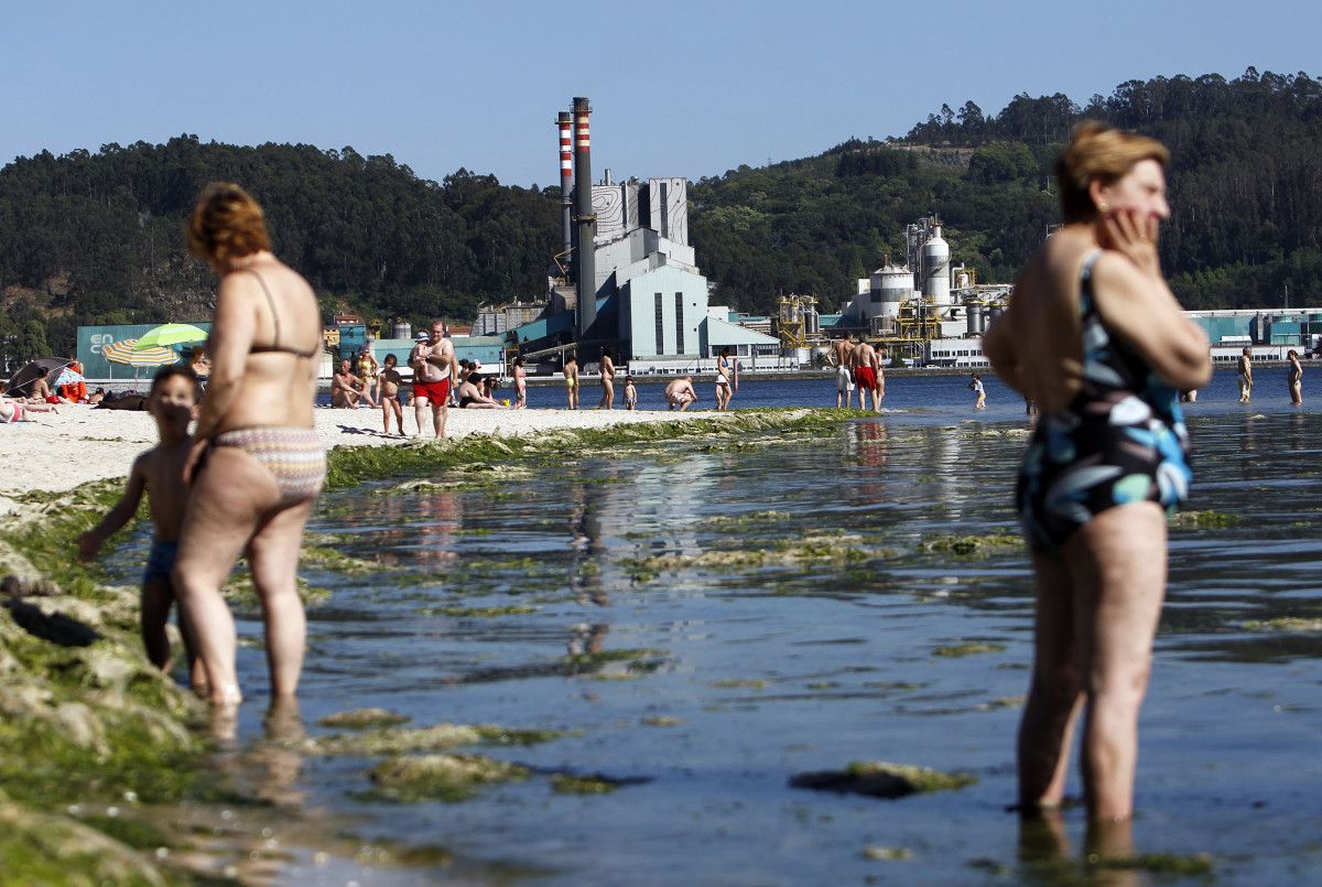Fábrica de Ence vista dende a praia de Lourido