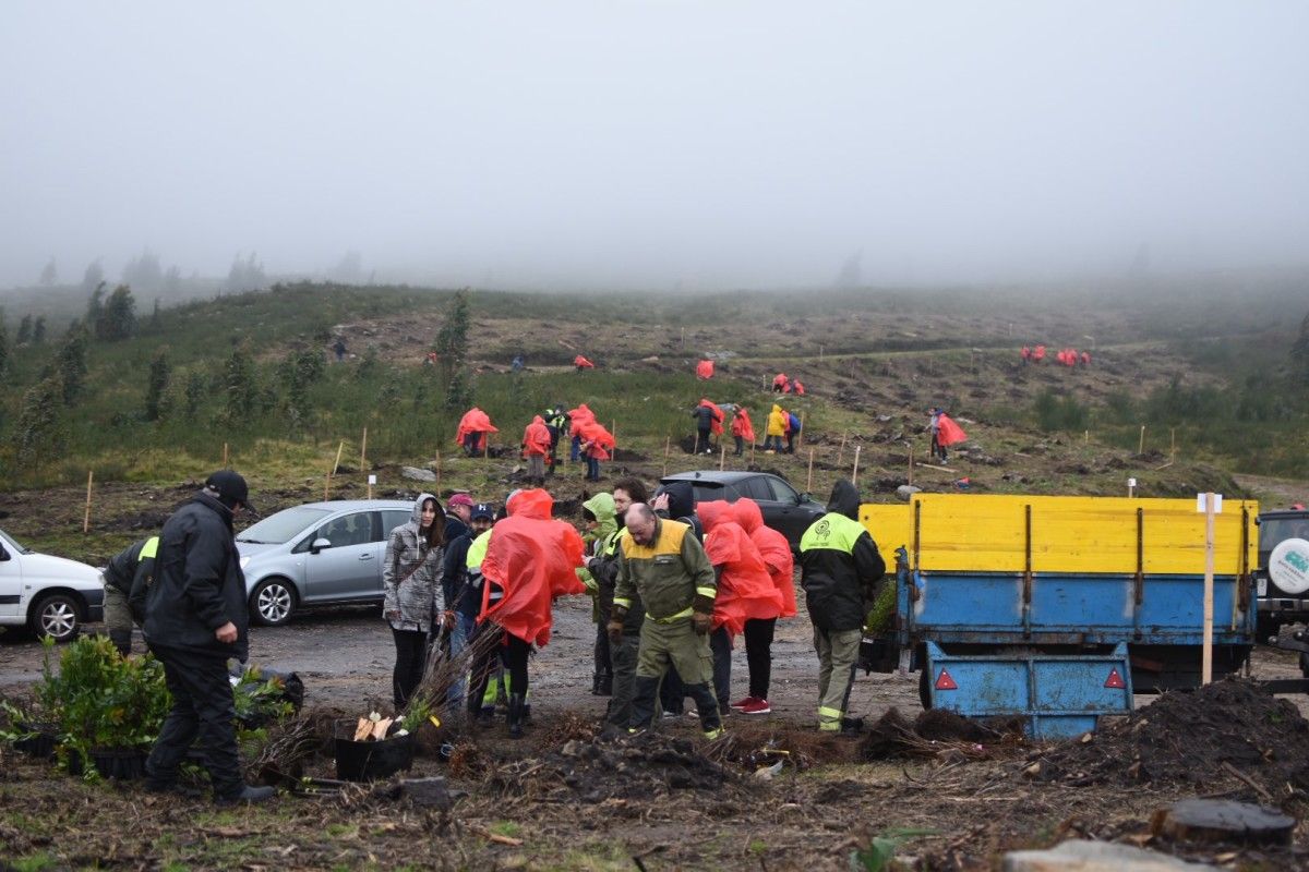 O público do PortAmérica reforesta o Monte Xiabre 