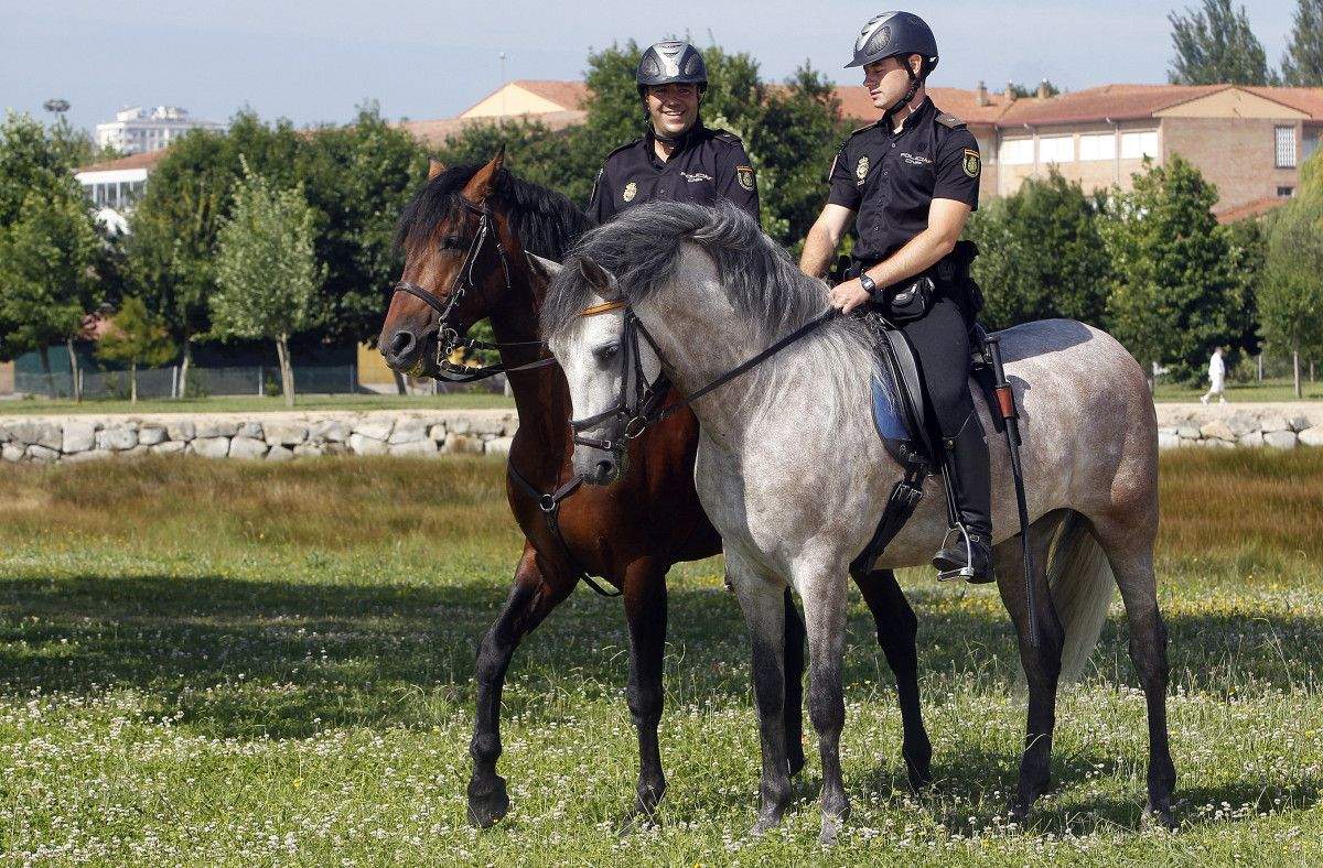 Axentes da Unidade de Cabalaría da Policía Nacional despregados en Pontevedra na 'operación Lumes'