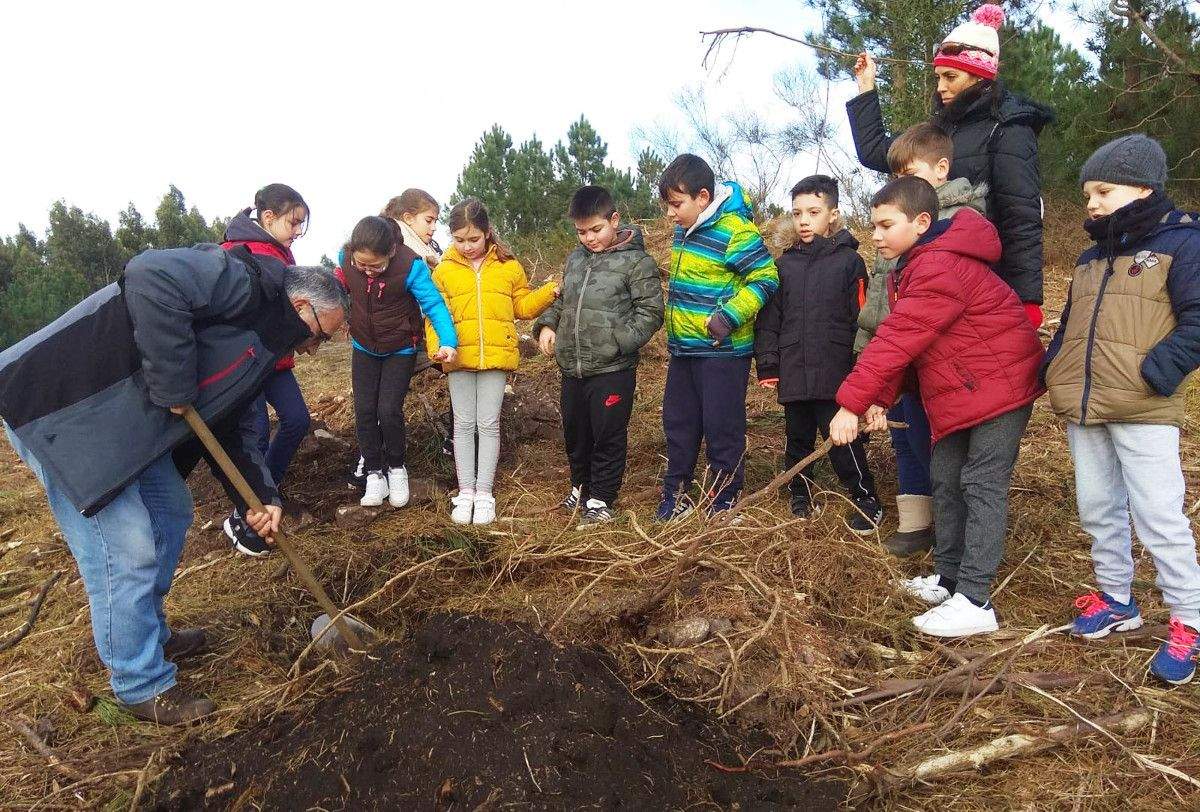 Plantación de cerezos dentro del proyecto 'Florece o Camiño'