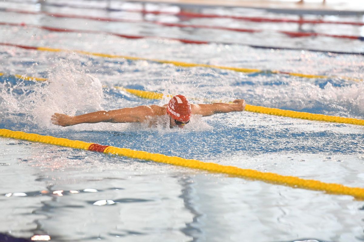 Campionatos Galegos Infantil e Júnior e Copa Galicia Sénior de Natación