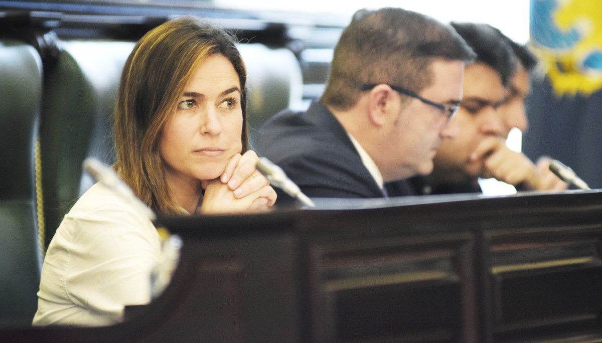Pepa Pardo, concelleira e deputada do PP