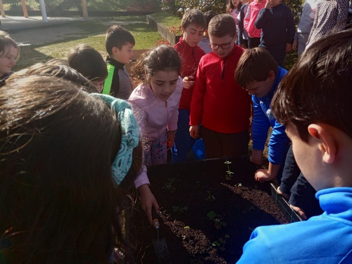 Alumnos del colegio de Xeve aprenden a utilizar el compost