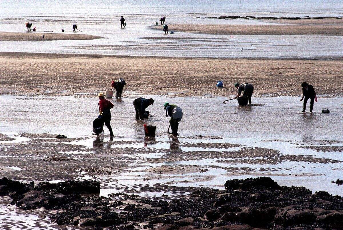 Mariscadoras