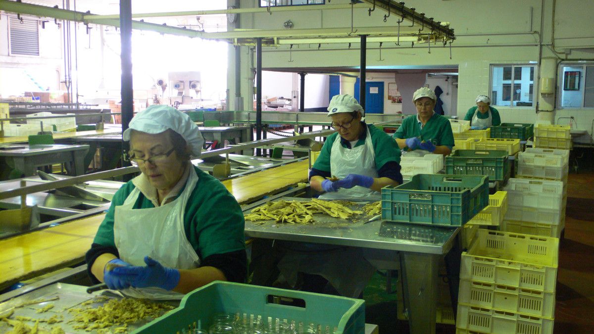 Traballadoras dunha conserveira