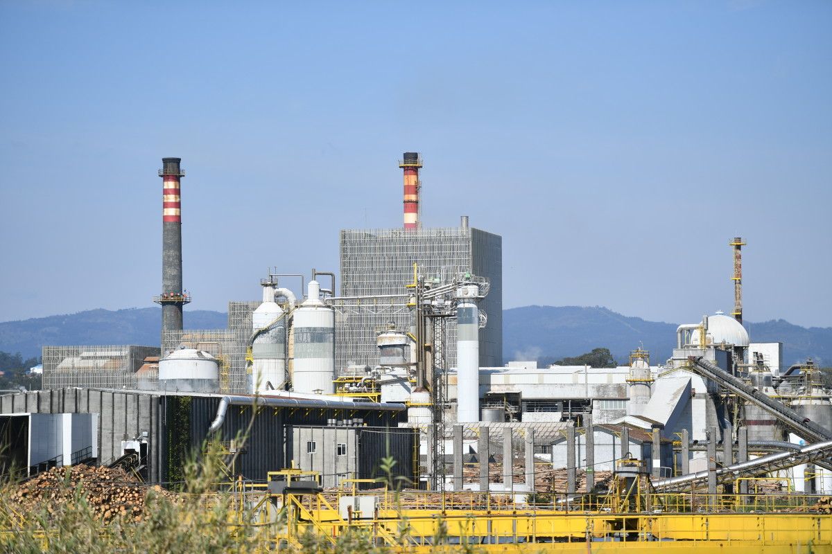Factoría de ENCE en Lourizán