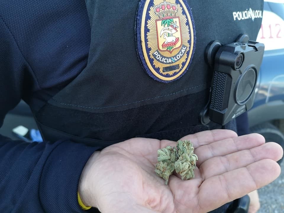 Marihuana intervenida
