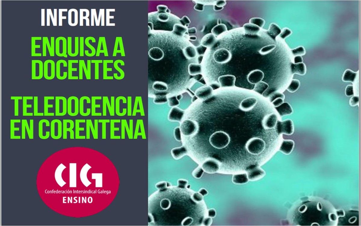 Encuesta de CIG-Ensino
