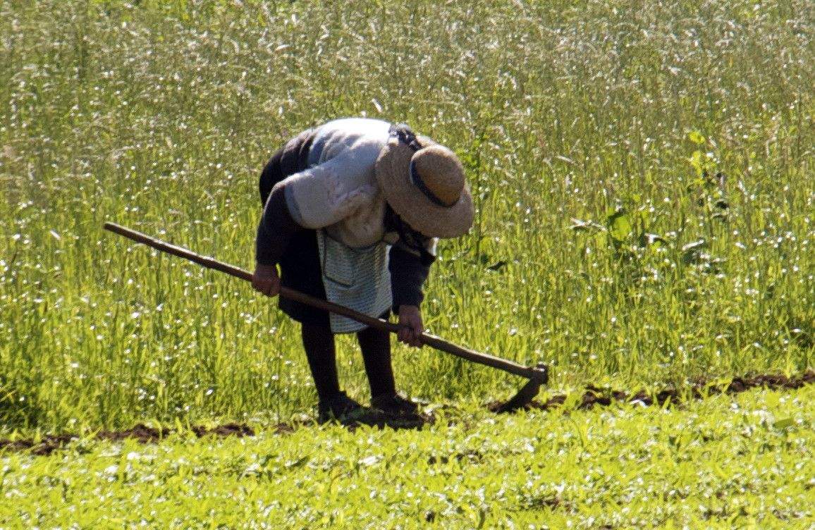 Una mujer trabajando en el campo