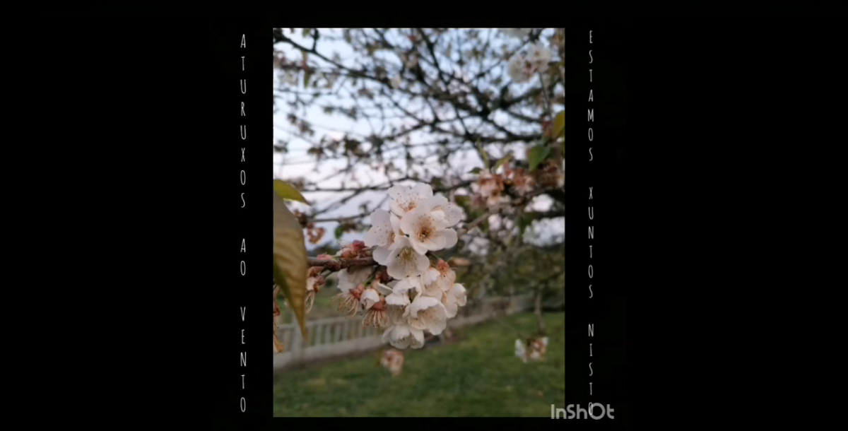 Imagen del vídeo para el tema 'Aturuxos ao vento' de Pandereteiras de Verducido