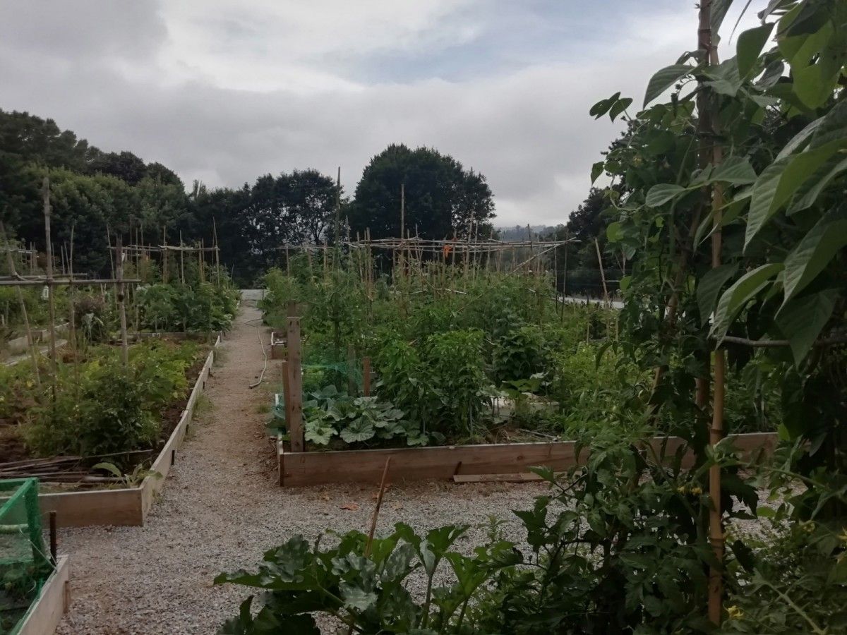 Huertas urbanas en la Finca de Conde Bugallal