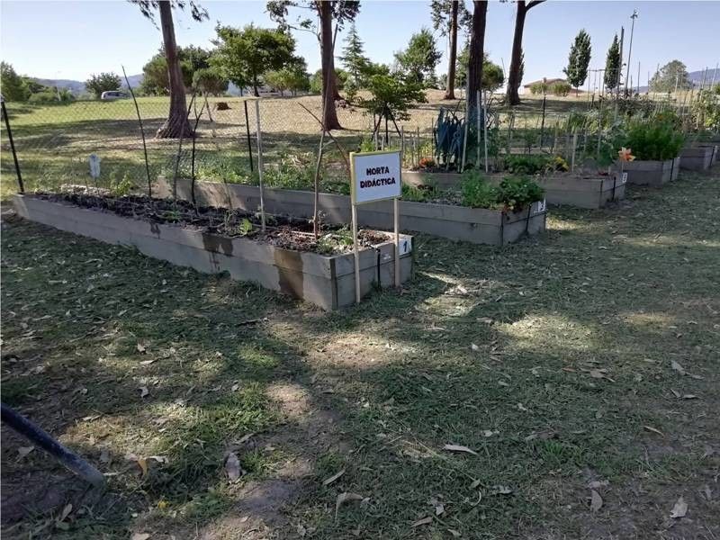Hortas urbanas no Mirador de Monte Porreiro