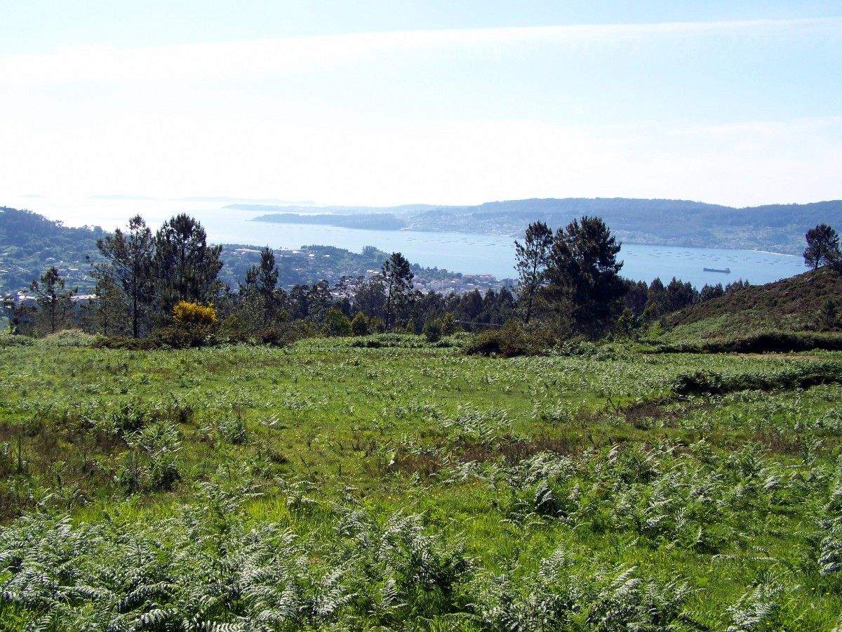 Monte Pituco