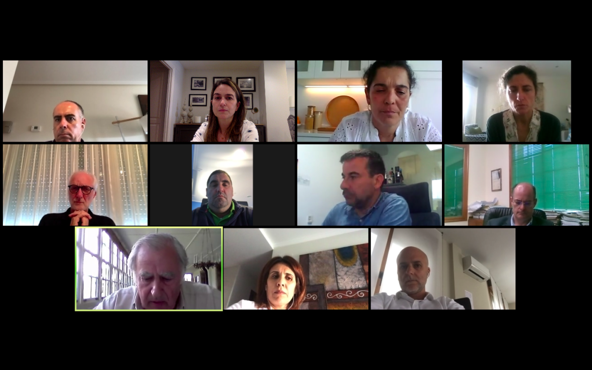 Encontro telemático de deputados do PP co sector vitivinícola
