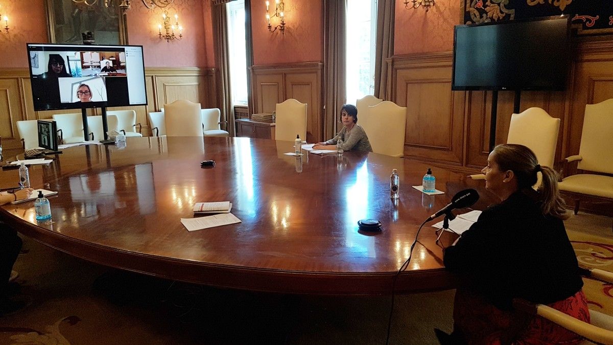 Reunión telemática para a sinatura do convenio entre a Deputación e o CSIC