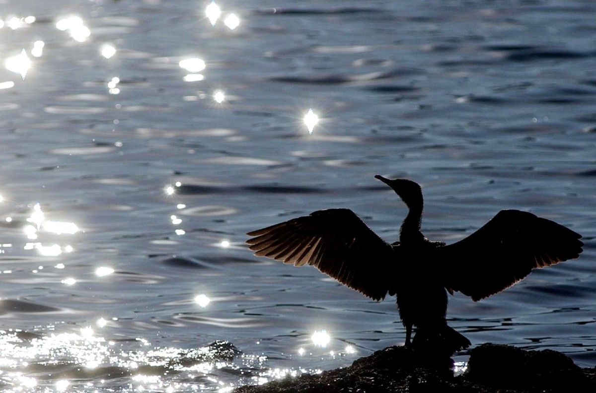 Obra fotográfica de 'Solpor'