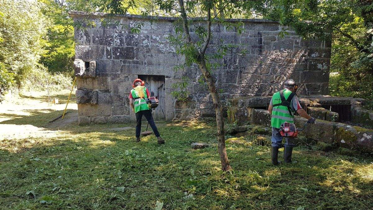 Voluntarios de Vaipolorío rozan o entorno do muíño de Cabanas