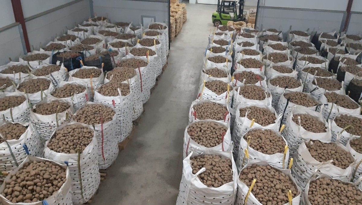 Almacén de patatas de Xinzo
