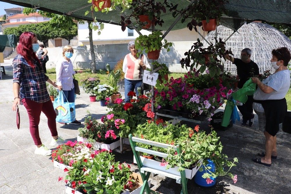Primeira feira de Campo Lameiro durante o estado de alarma