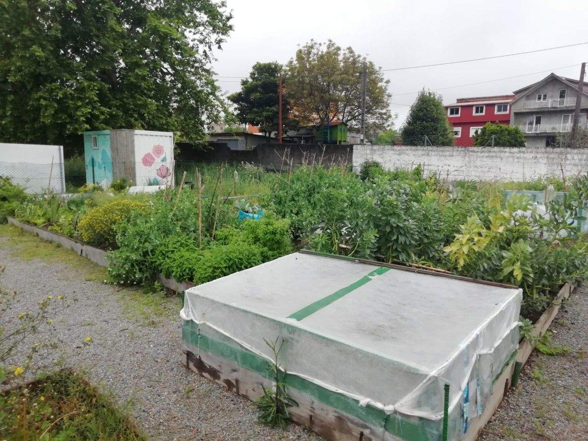 Horta urbana durante o confinamento