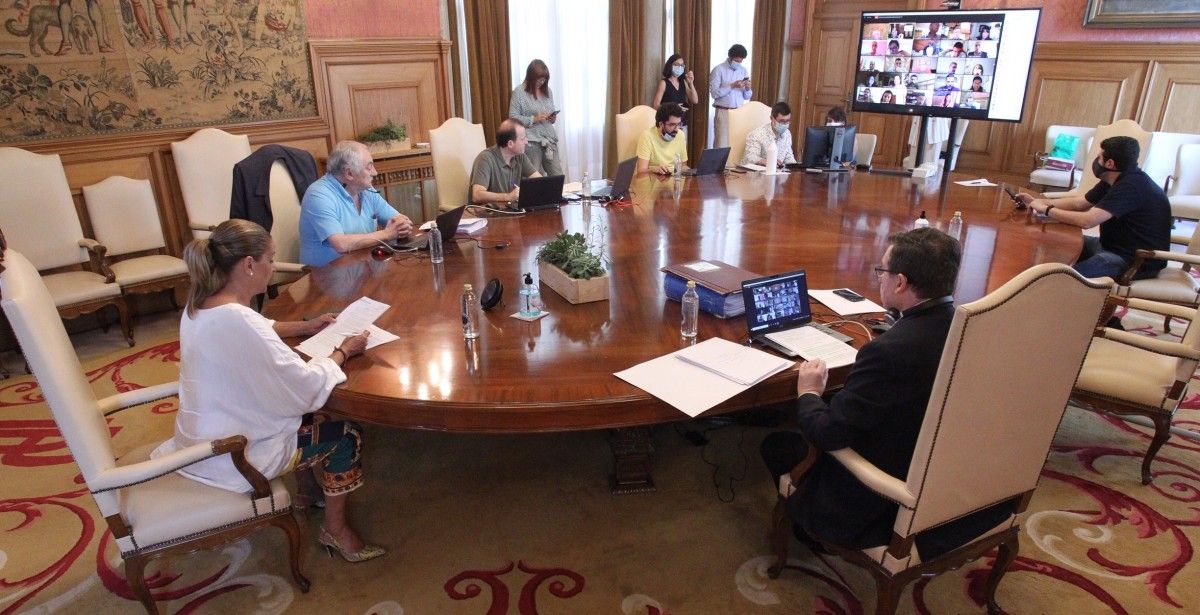 Pleno telemático da Deputación de Pontevedra